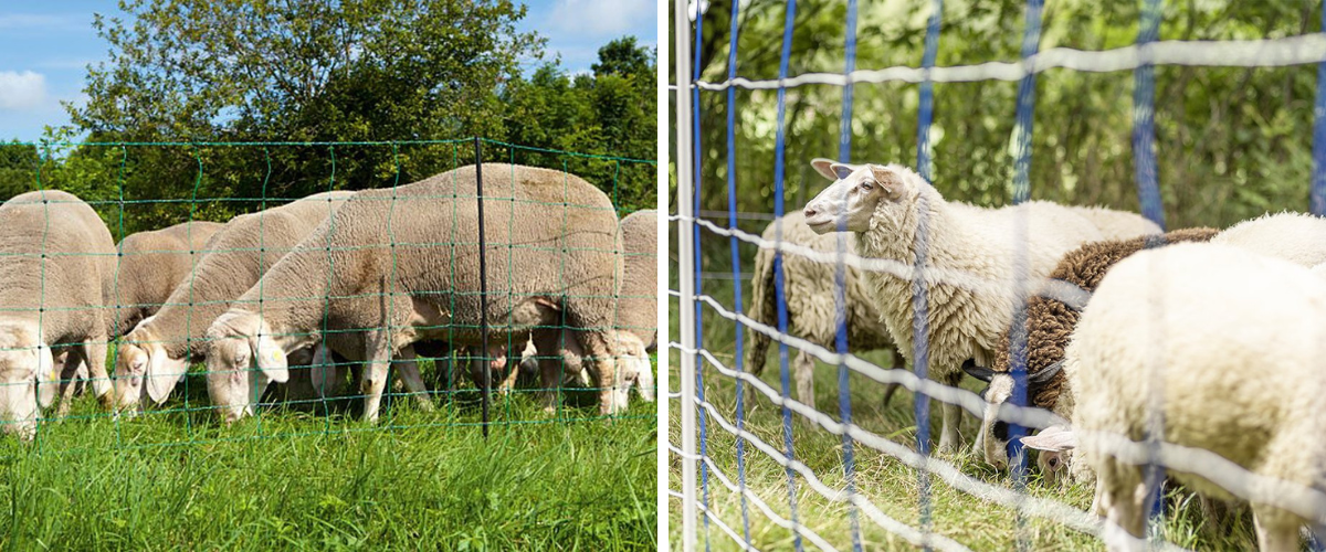 Blog-ohradnikove-site-pro-ovce-2